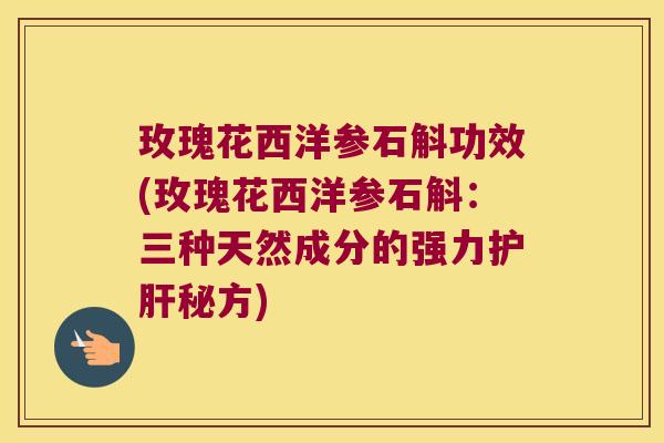 玫瑰花西洋参石斛功效(玫瑰花西洋参石斛:三种天然成分的强力秘方) 玫瑰花西洋参石斛功效(玫瑰花西洋参石斛:三种天然成分的强力秘方)