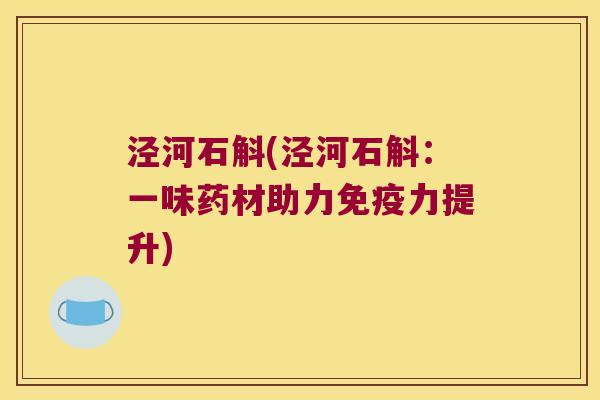 泾河石斛(泾河石斛：一味药材助力免疫力提升)