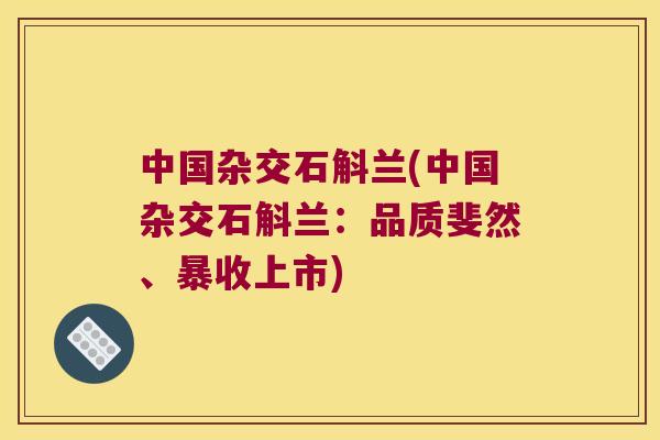 中国杂交石斛兰(中国杂交石斛兰：品质斐然、暴收上市)