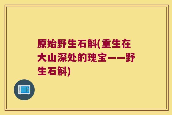 原始野生石斛(重生在大山深处的瑰宝——野生石斛)