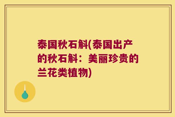 泰国秋石斛(泰国出产的秋石斛：美丽珍贵的兰花类植物)
