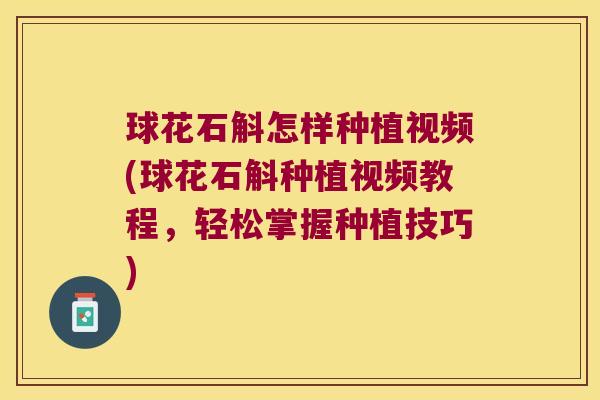 球花石斛怎样种植视频(球花石斛种植视频教程，轻松掌握种植技巧)