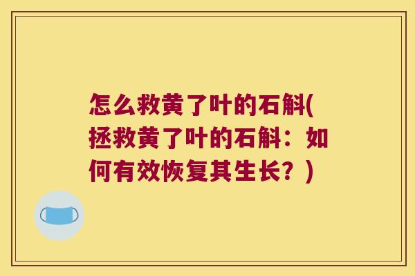 怎么救黄了叶的石斛(拯救黄了叶的石斛：如何有效恢复其生长？)