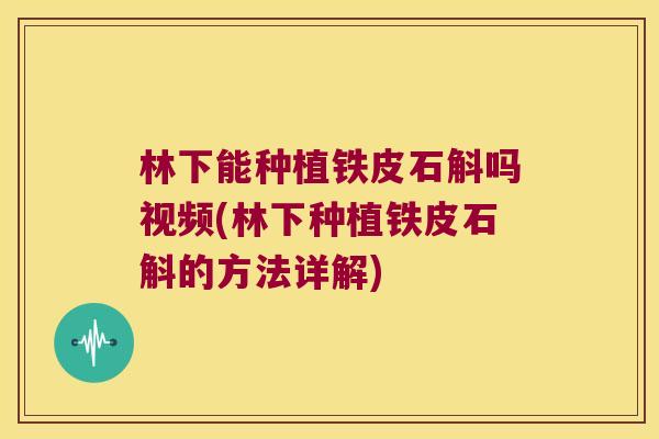 林下能种植铁皮石斛吗视频(林下种植铁皮石斛的方法详解)