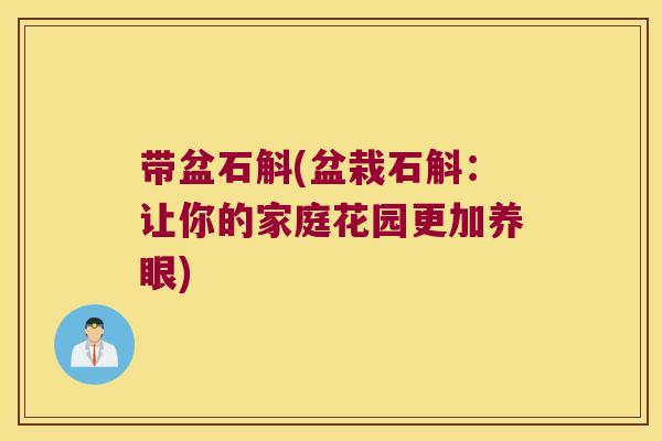 带盆石斛(盆栽石斛：让你的家庭花园更加养眼)