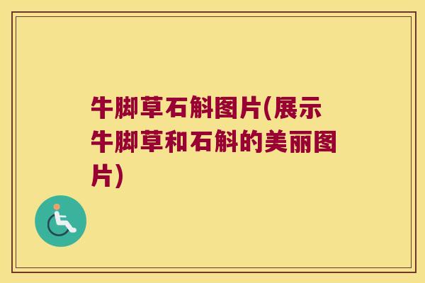 牛脚草石斛图片(展示牛脚草和石斛的美丽图片)