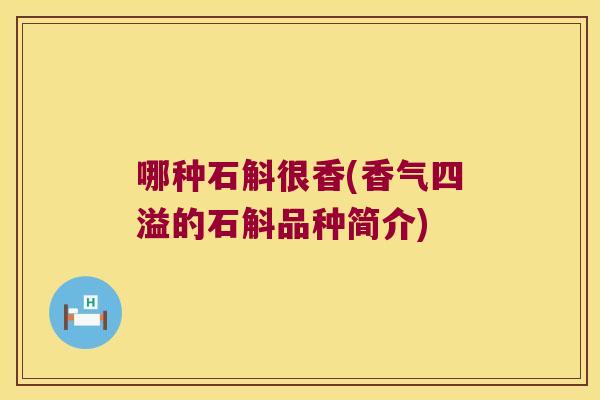 哪种石斛很香(香气四溢的石斛品种简介)