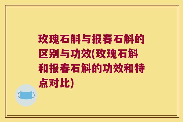 玫瑰石斛与报春石斛的区别与功效(玫瑰石斛和报春石斛的功效和特点对比)