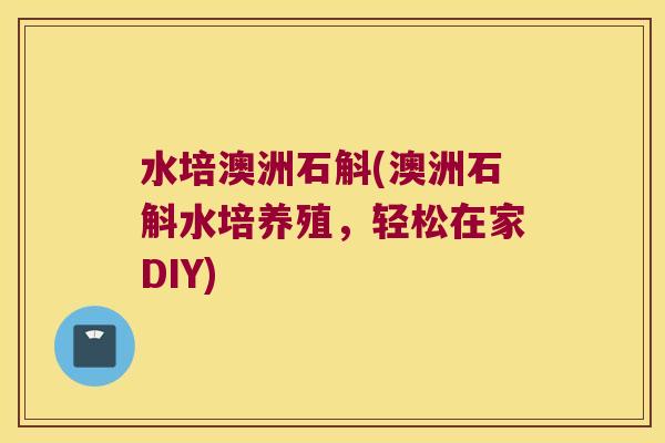 水培澳洲石斛(澳洲石斛水培养殖，轻松在家DIY)