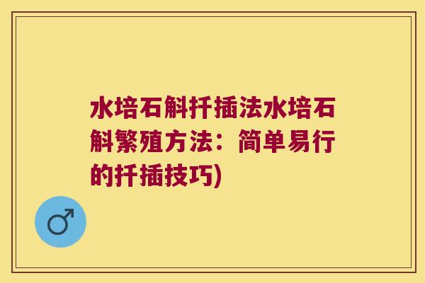 水培石斛扦插法水培石斛繁殖方法：简单易行的扦插技巧)