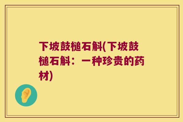 下坡鼓槌石斛(下坡鼓槌石斛：一种珍贵的药材)