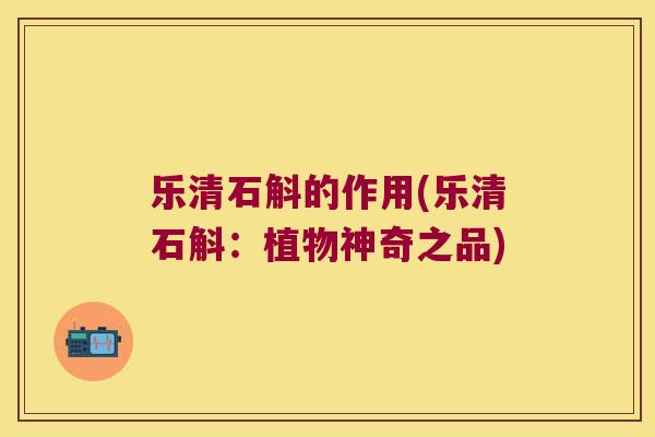 乐清石斛的作用(乐清石斛：植物神奇之品)