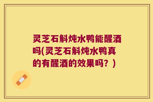灵芝石斛炖水鸭能醒酒吗(灵芝石斛炖水鸭真的有醒酒的效果吗？)