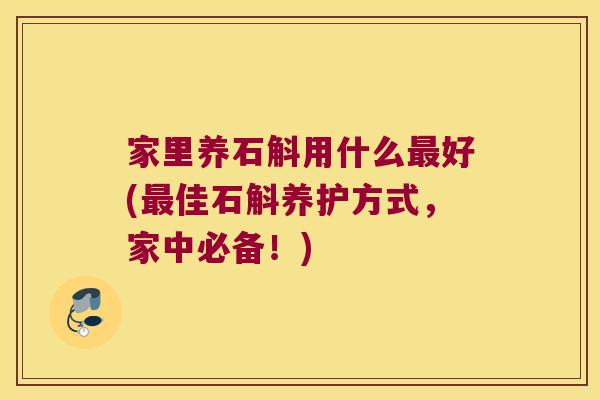 家里养石斛用什么好(佳石斛养护方式，家中必备！)