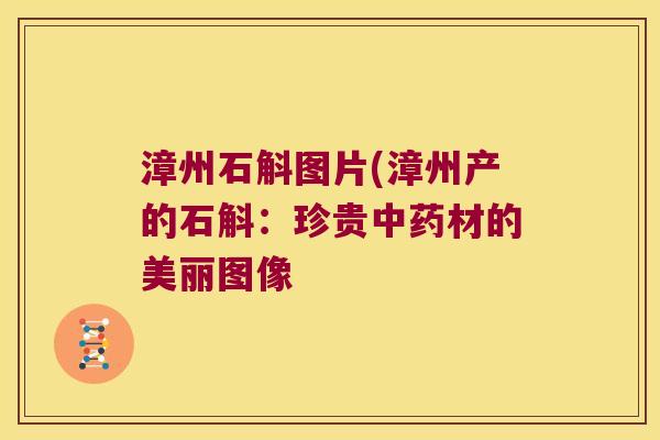 漳州石斛图片(漳州产的石斛：珍贵中药材的美丽图像