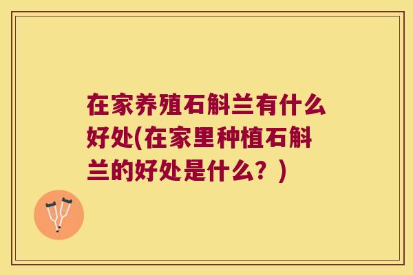 在家养殖石斛兰有什么好处(在家里种植石斛兰的好处是什么？)