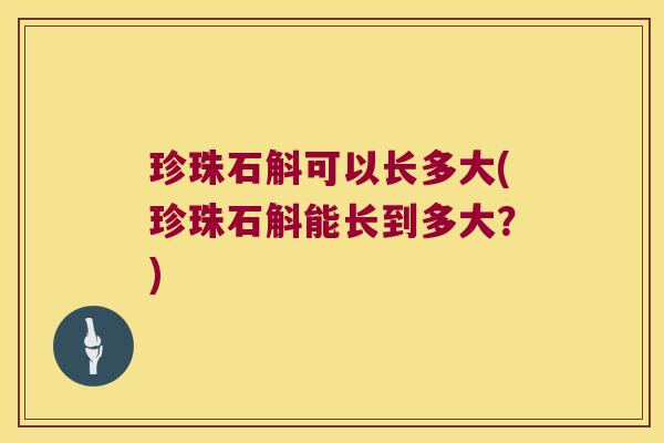 珍珠石斛可以长多大(珍珠石斛能长到多大？)
