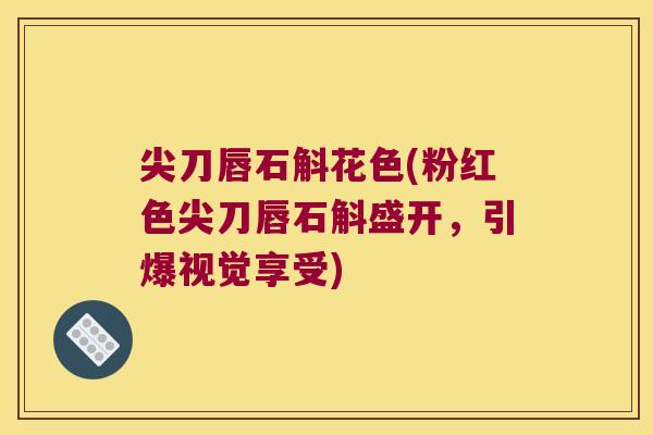 尖刀唇石斛花色(粉红色尖刀唇石斛盛开,引爆视觉享受) 尖刀唇石斛花色(粉红色尖刀唇石斛盛开,引爆视觉享受)