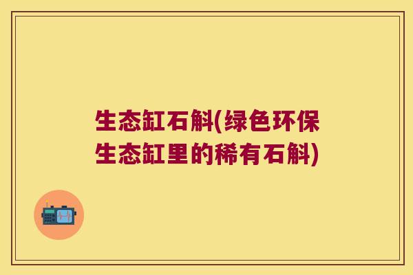 生态缸石斛(绿色环保生态缸里的稀有石斛)