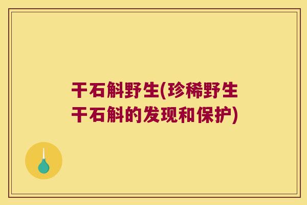 干石斛野生(珍稀野生干石斛的发现和保护)