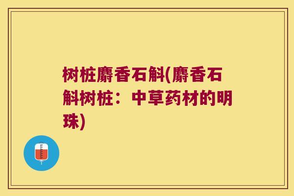 树桩麝香石斛(麝香石斛树桩：中草药材的明珠)