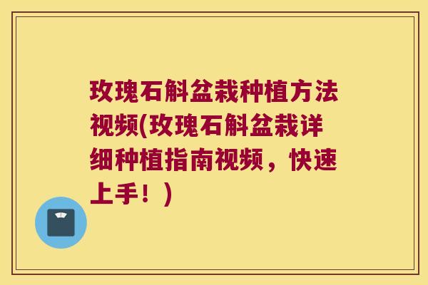 玫瑰石斛盆栽种植方法视频(玫瑰石斛盆栽详细种植指南视频，快速上手！)