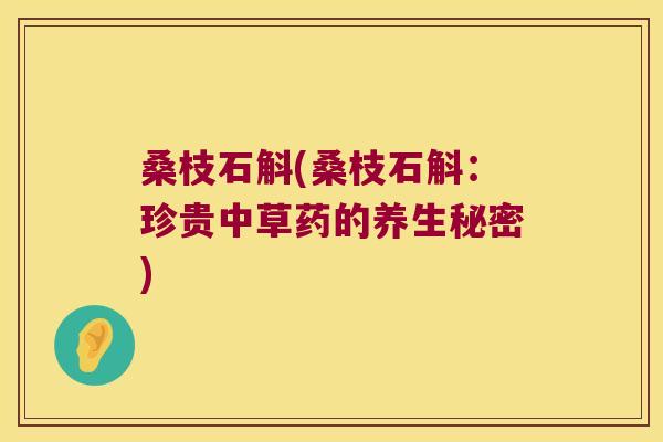 桑枝石斛(桑枝石斛：珍贵中草药的养生秘密)