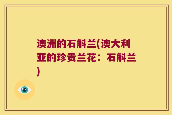 澳洲的石斛兰(澳大利亚的珍贵兰花：石斛兰)