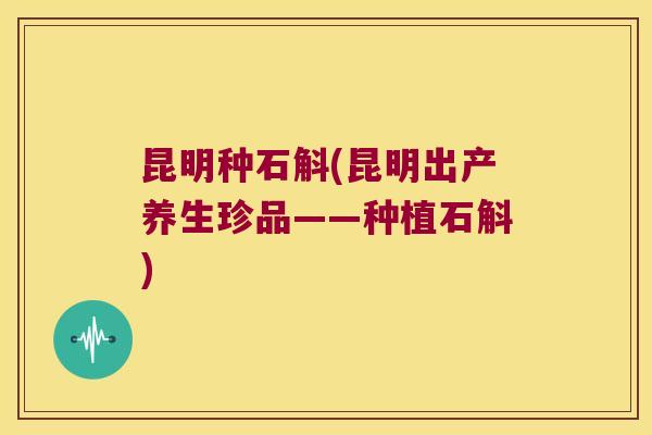 昆明种石斛(昆明出产养生珍品——种植石斛)