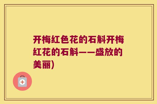 开梅红色花的石斛开梅红花的石斛——盛放的美丽)