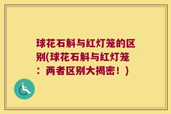 球花石斛与红灯笼的区别(球花石斛与红灯笼：两者区别大揭密！)