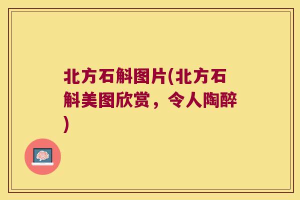 北方石斛图片(北方石斛美图欣赏，令人陶醉)