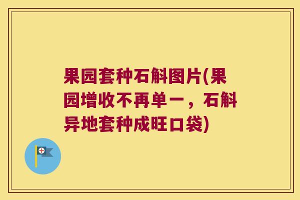 果园套种石斛图片(果园增收不再单一，石斛异地套种成旺口袋)