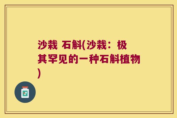 沙栽 石斛(沙栽：极其罕见的一种石斛植物)