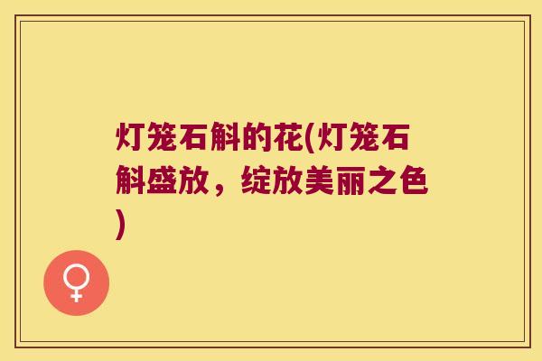 灯笼石斛的花(灯笼石斛盛放，绽放美丽之色)
