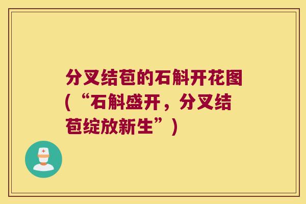 分叉结苞的石斛开花图(“石斛盛开，分叉结苞绽放新生”)