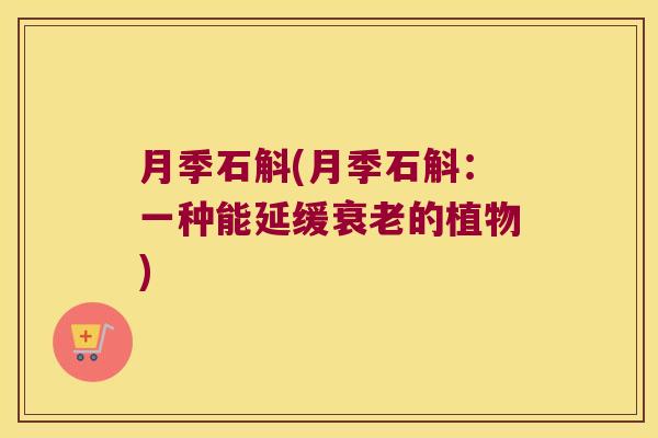 月季石斛(月季石斛：一种能延缓衰老的植物)