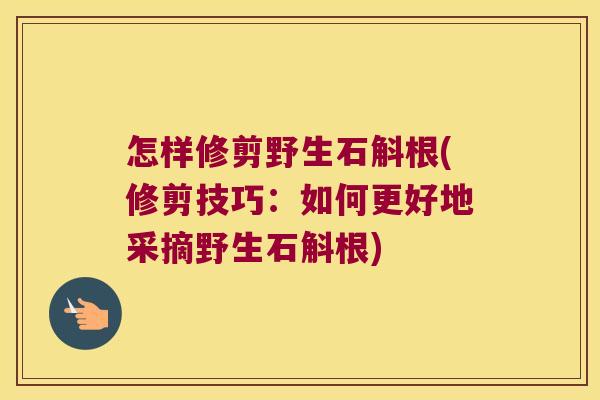 怎样修剪野生石斛根(修剪技巧：如何更好地采摘野生石斛根)
