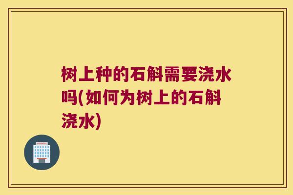 树上种的石斛需要浇水吗(如何为树上的石斛浇水)