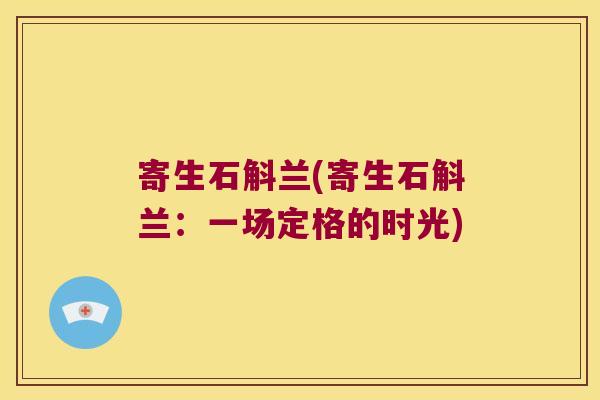寄生石斛兰(寄生石斛兰：一场定格的时光)