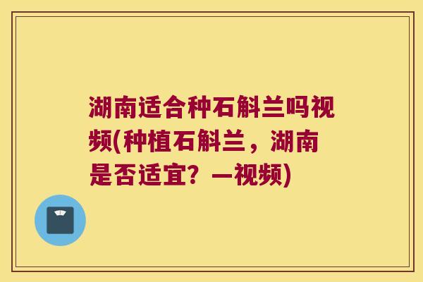 湖南适合种石斛兰吗视频(种植石斛兰,湖南是否适宜?—视频) 湖南适合种石斛兰吗视频(种植石斛兰,湖南是否适宜?—视频)