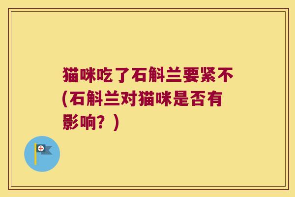 猫咪吃了石斛兰要紧不(石斛兰对猫咪是否有影响？)