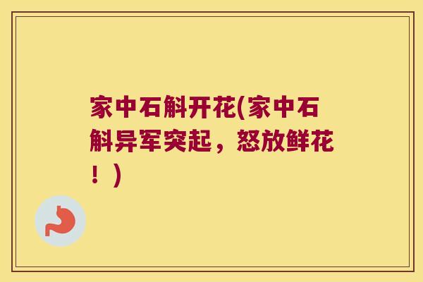 家中石斛开花(家中石斛异军突起，怒放鲜花！)