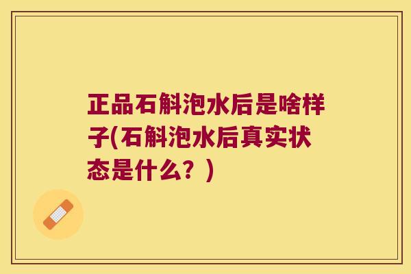 正品石斛泡水后是啥样子(石斛泡水后真实状态是什么？)