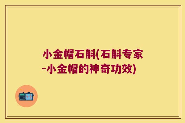 小金帽石斛(石斛专家-小金帽的神奇功效)