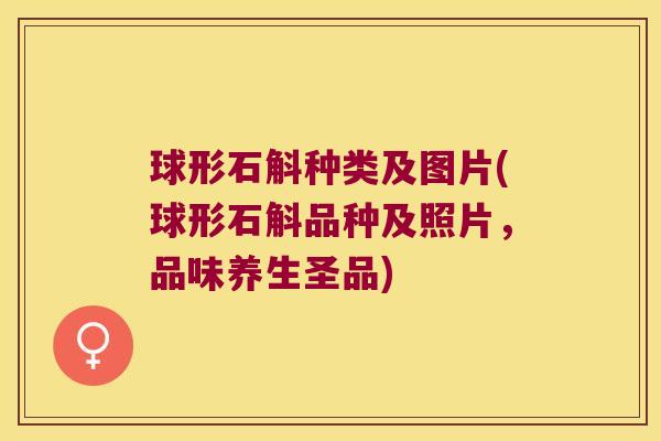 球形石斛种类及图片(球形石斛品种及照片，品味养生圣品)