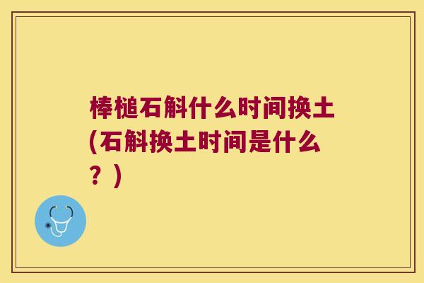 棒槌石斛什么时间换土(石斛换土时间是什么？)