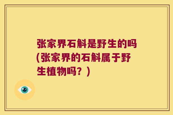 张家界石斛是野生的吗(张家界的石斛属于野生植物吗？)