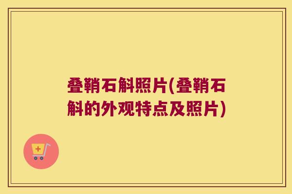 叠鞘石斛照片(叠鞘石斛的外观特点及照片)