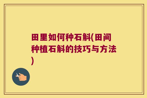 田里如何种石斛(田间种植石斛的技巧与方法)